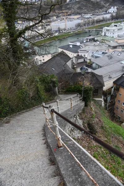 DSC_7048 (Large).JPG